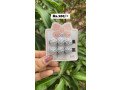 white-hair-clips-small-0