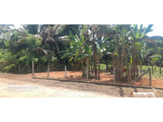 LAND FOR SALE IN KURUNEGALA