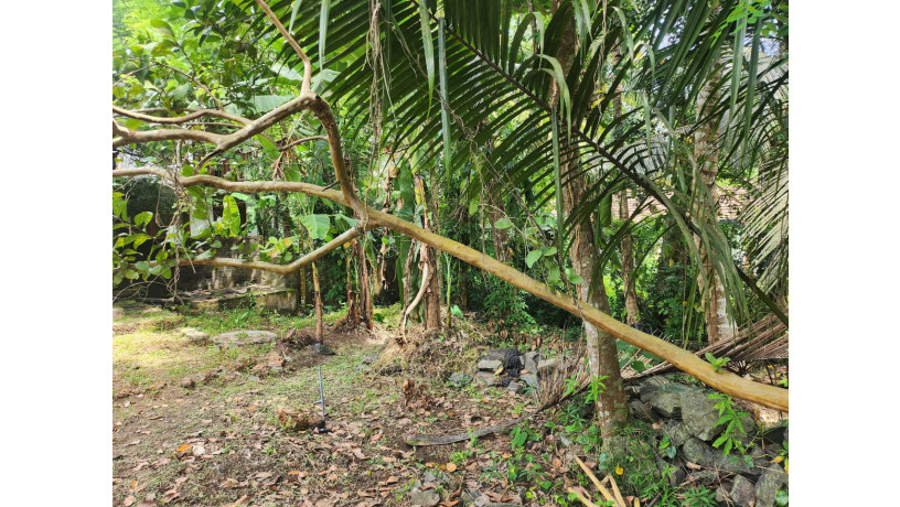 land-for-sale-in-wadduwa-big-3