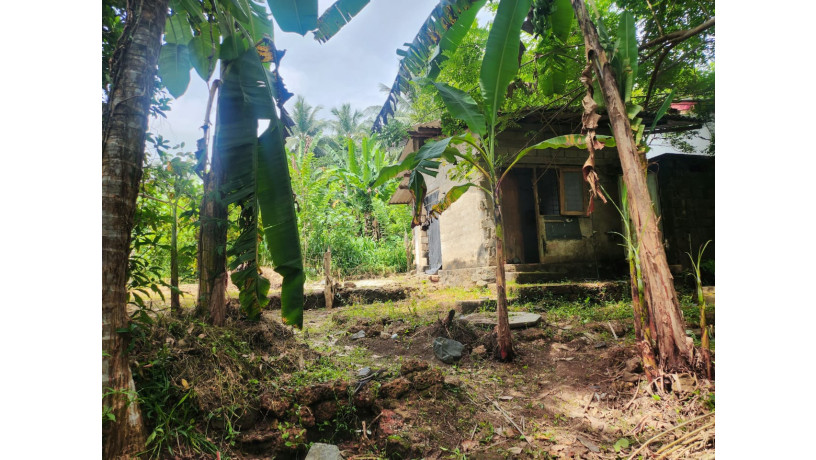 land-for-sale-in-wadduwa-big-4