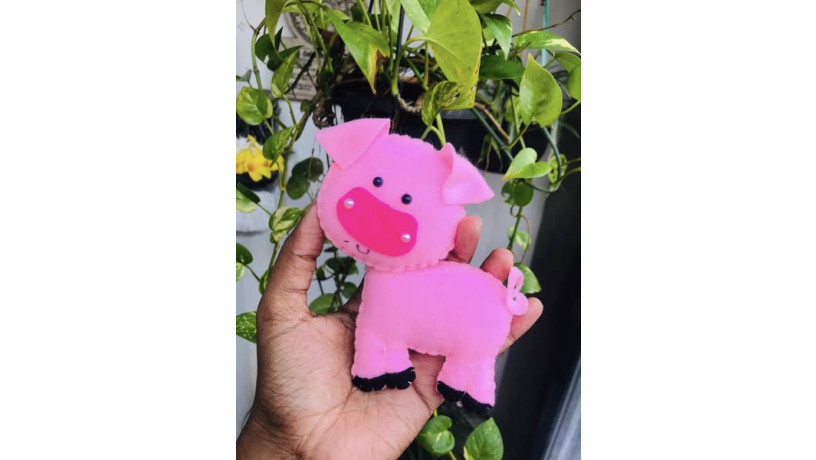 little-cute-pig-big-0