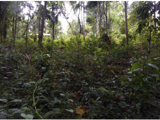 LAND FOR SALE IN MATALE