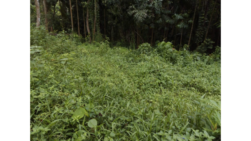 land-for-sale-in-matale-big-4