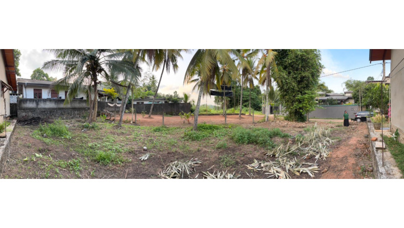 land-for-sale-in-delgoda-big-1