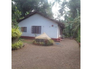 LAND WITH HOUSE FOR SALE – AMBEPUSSA