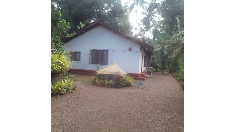 land-with-house-for-sale-ambepussa-big-0