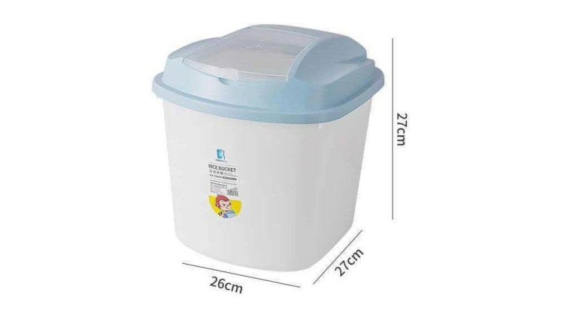 rice-basket-large-size-big-0