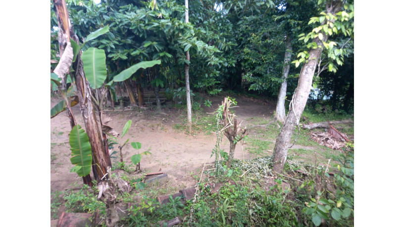 luxury-house-for-sale-in-katugastota-big-5