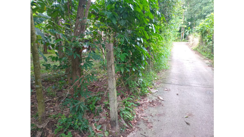 land-for-sale-in-gampha-big-5