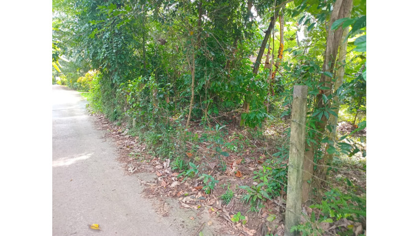 land-for-sale-in-gampha-big-6