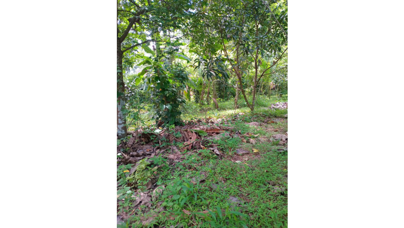 land-for-sale-in-gampha-big-2
