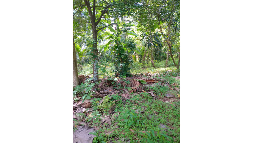 land-for-sale-in-gampha-big-3