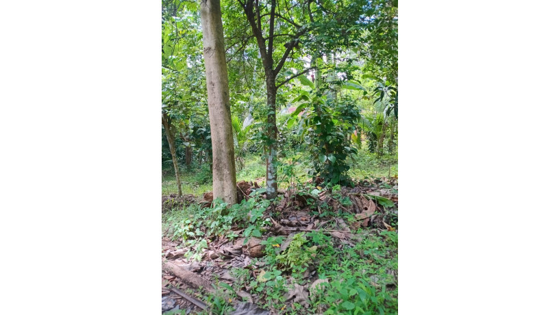 land-for-sale-in-gampha-big-1
