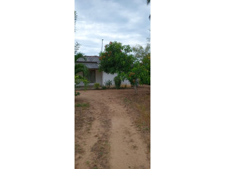 7 ACRES OF LAND FOR SALE IN MAHAOYA, AMPARA