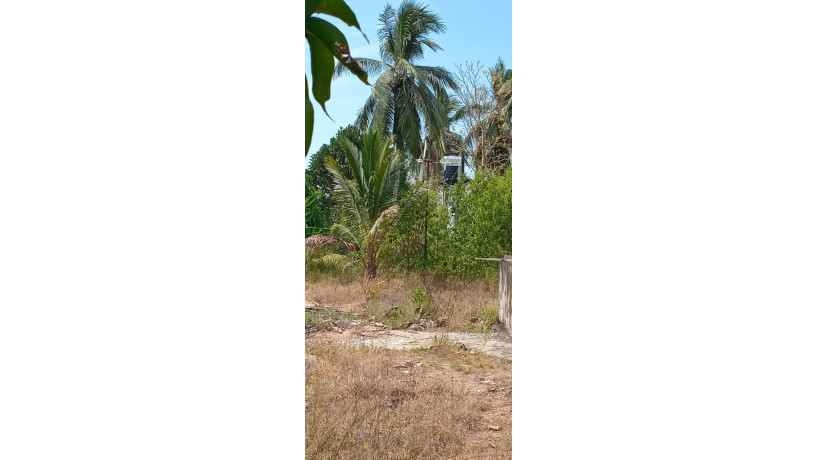 7-acres-of-land-for-sale-in-mahaoya-ampara-big-1