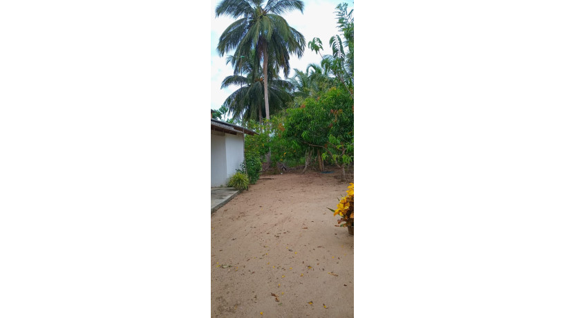 7-acres-of-land-for-sale-in-mahaoya-ampara-big-6