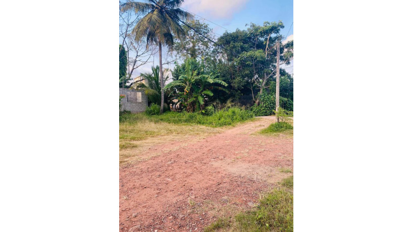 land-for-sale-in-angoda-big-0