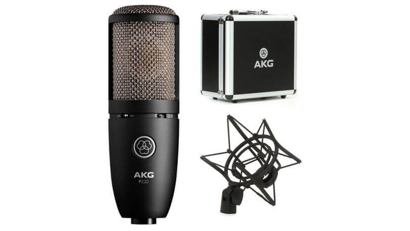 akg-pro-audio-vocal-condenser-microphone-p220-big-0