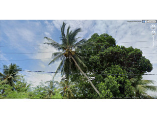 RADDOLUGAMA – 22.5 PERCH LAND FOR SALE / රද්දොලුගම – 22.5 පර්චස් බිම් කොටසක් විකිණීමට