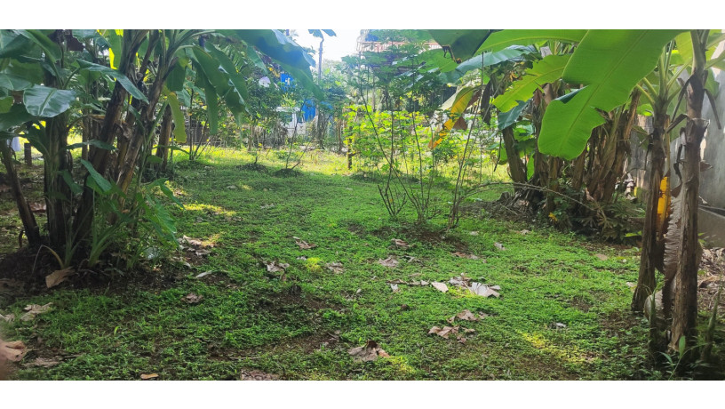 raddolugama-225-perch-land-for-sale-225-big-4
