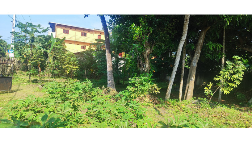 raddolugama-225-perch-land-for-sale-225-big-6