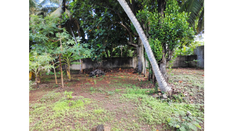 raddolugama-225-perch-land-for-sale-225-big-2