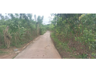 LAND FOR SALE IN AMBALANGODA. BATAPOLA