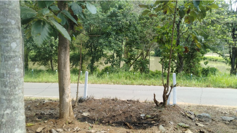 land-for-sale-in-kurunegala-big-2