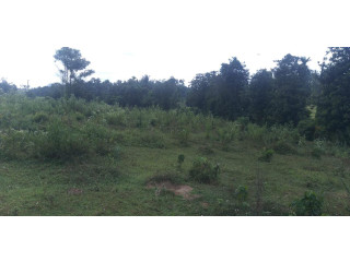 LAND FOR SALE IN PADUKKA