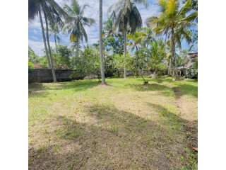 LAND FOR SALE IN NEGOMBO (THIMBIRIGASKATUWA AREA )