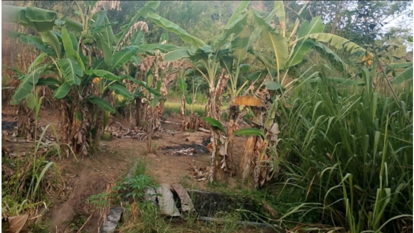land-for-sale-in-monaragala-big-0