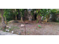 land-for-sale-in-battaramulla-small-5