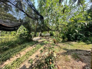 LAND FOR SALE - URGENT