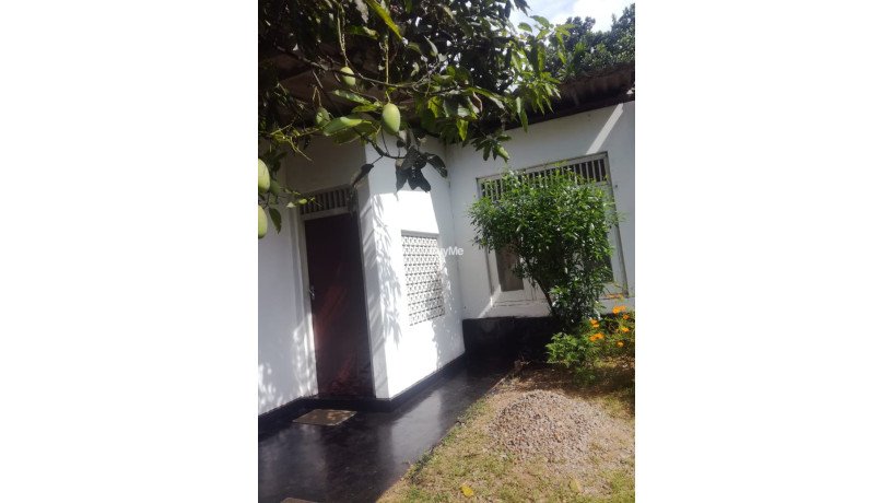 land-house-for-sale-big-2