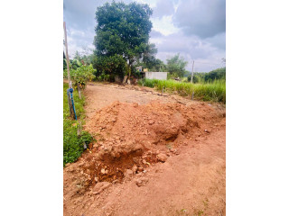 LAND FOR SALE IN HANWELLA (293 BUS ROUTE)