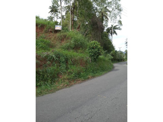 VALUABLE LAND FOR SALE IN PILIMATALAWA