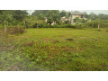 land-for-sale-in-keradewala-small-4
