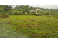 land-for-sale-in-keradewala-small-3