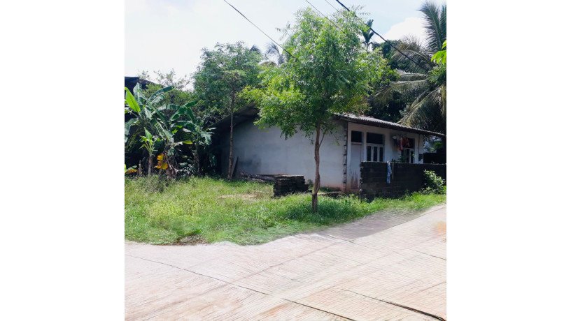 10-perch-land-for-sale-in-ekala-ja-ela-big-4