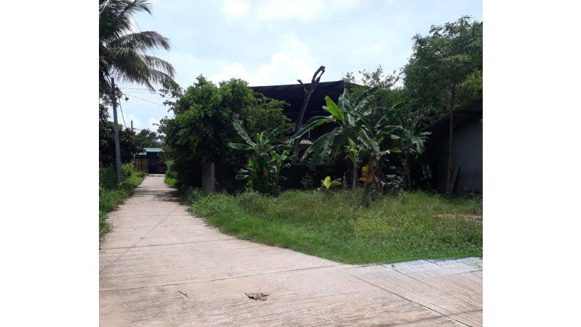 10-perch-land-for-sale-in-ekala-ja-ela-big-2