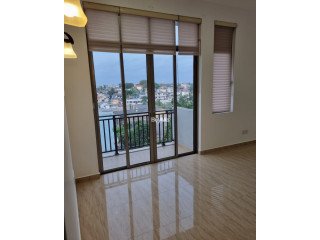 SPACIOUS APARTMENT FOR RENT IN DEHIWALA, ALLEN AVENUE (ZOO ROAD)