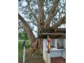land-for-sale-in-anuradhapura-oyamaduwa-small-1