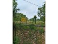 land-for-sale-in-anuradhapura-oyamaduwa-small-4