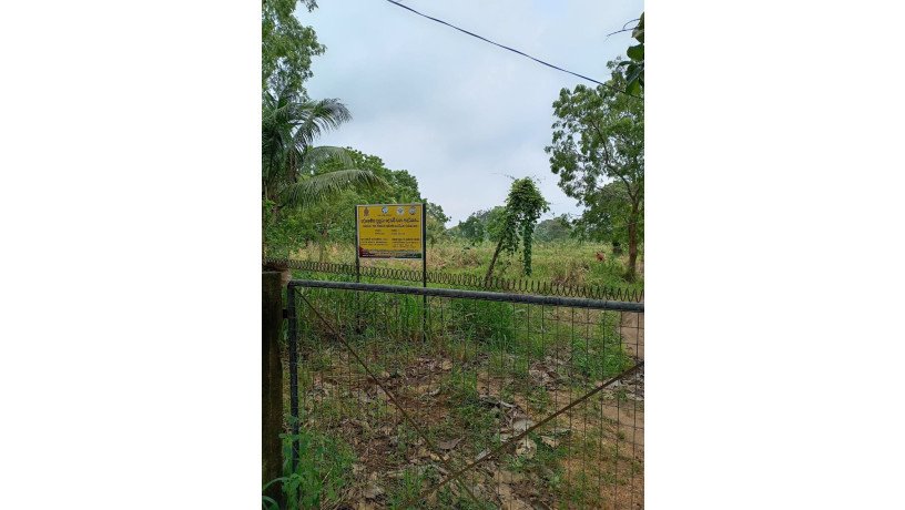 land-for-sale-in-anuradhapura-oyamaduwa-big-4