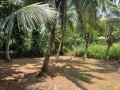 24-perch-land-for-sale-in-welmilla-junction-bandaragama-small-7