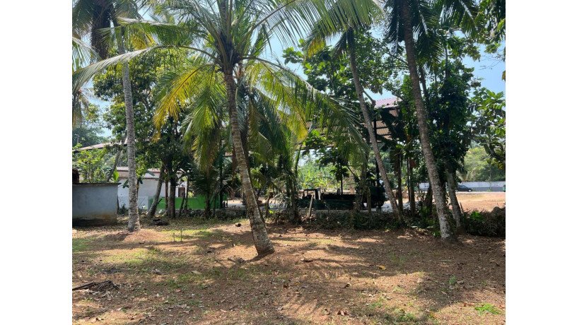 24-perch-land-for-sale-in-welmilla-junction-bandaragama-big-1