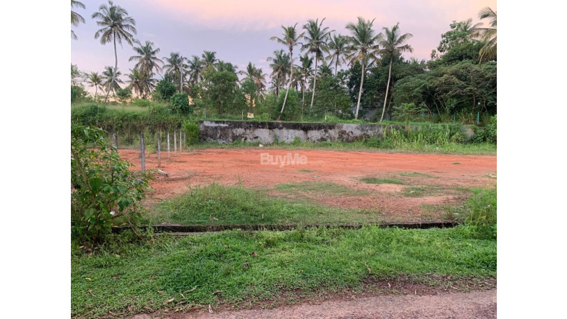 bare-land-for-sale-big-0