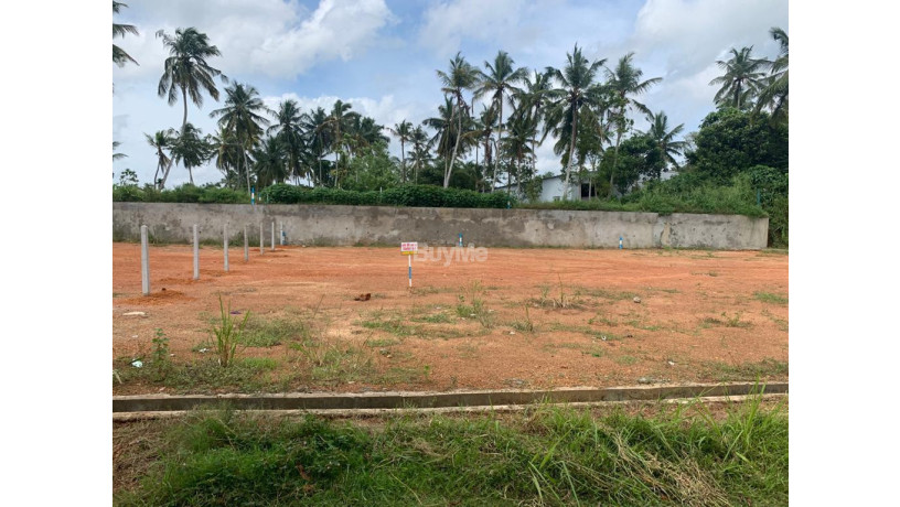 bare-land-for-sale-big-1