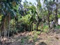 land-for-sale-in-angammana-ratnapura-small-5