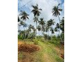 land-for-sale-in-walasmulla-small-3